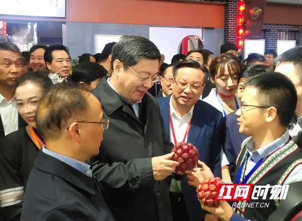 被省委书记惦记的通道小伙正带村民种山果致富