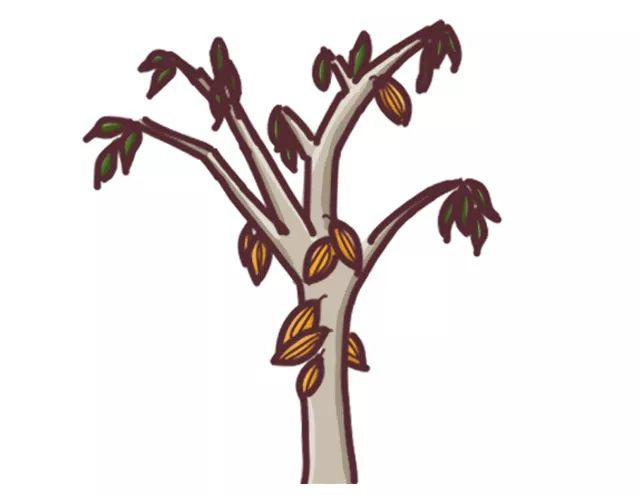 巧克力块怎么做成巧克力,抹茶巧克力怎么做成软巧克力