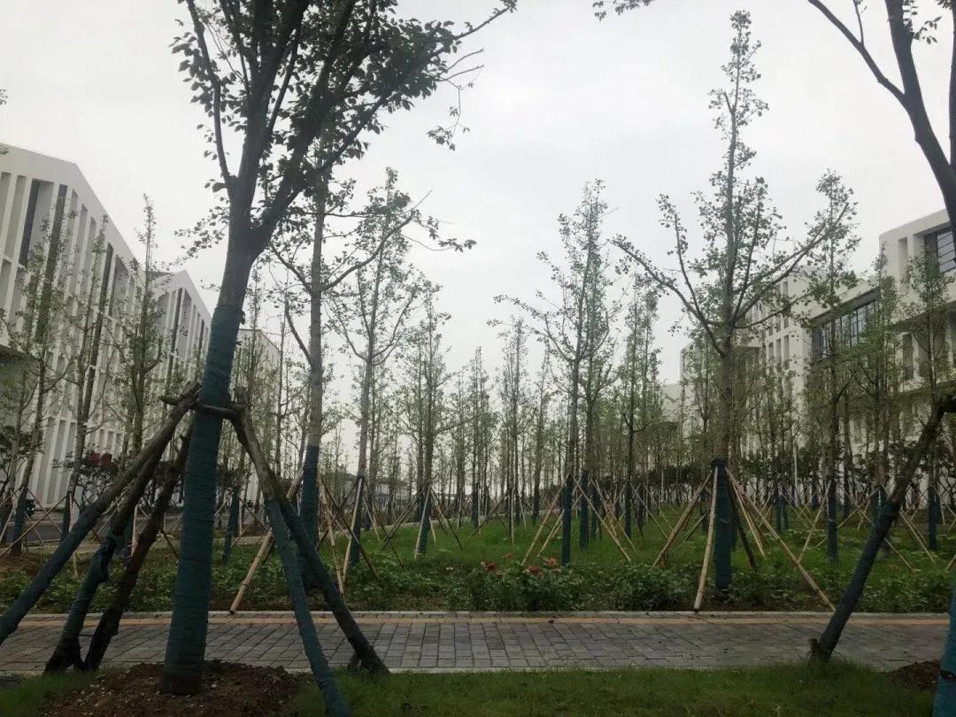 安徽省合肥师范学院2024招生简章,安徽省合肥师范学院今年投档线