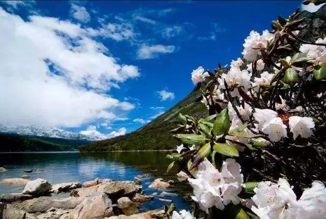 70年有什么经典的歌,6070年代都在听的一首歌