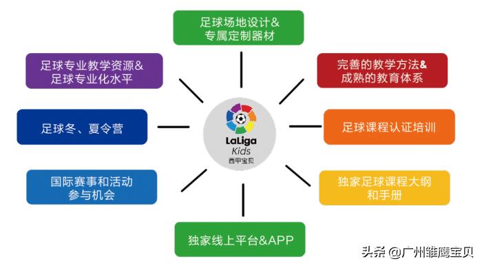 雏鹰宝贝幼儿园足球,足球特点示范幼儿园如何实施