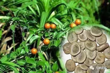 伤湿止痛膏对皮肤刺激性如何,用了伤湿止痛膏过敏是什么原因呢