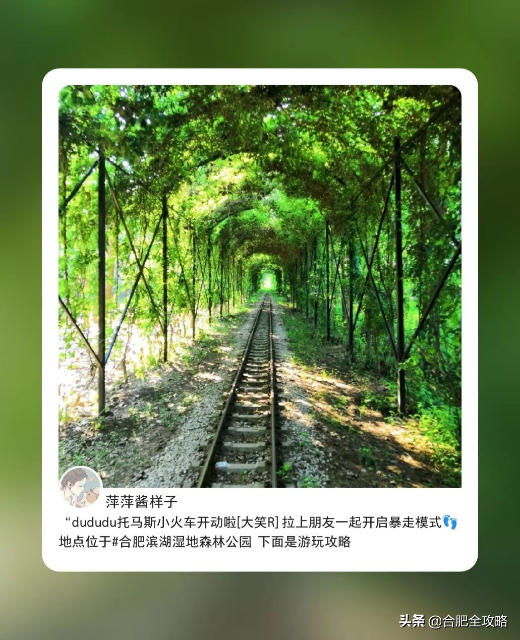 合肥有哪些好玩的地方值得一去,合肥最值得旅游的地方