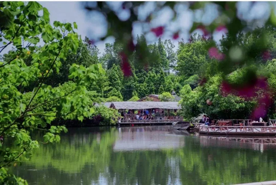 青城山熊猫谷都江堰一日游攻略,熊猫谷青城山都江堰一日游攻略