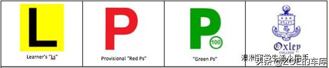 澳洲留学小哥玩转本田大玩具！一起努力，优化国内玩车环境