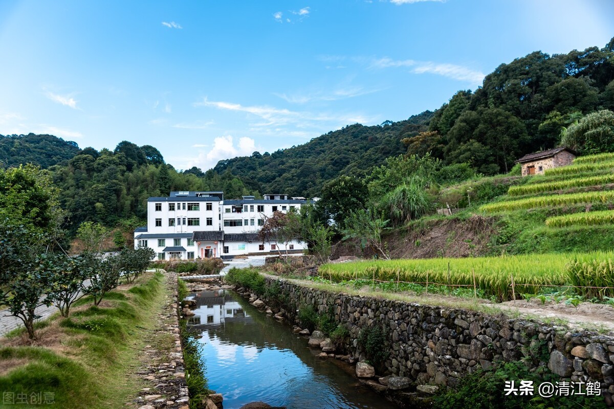 种子销售的前景,种子销售法则