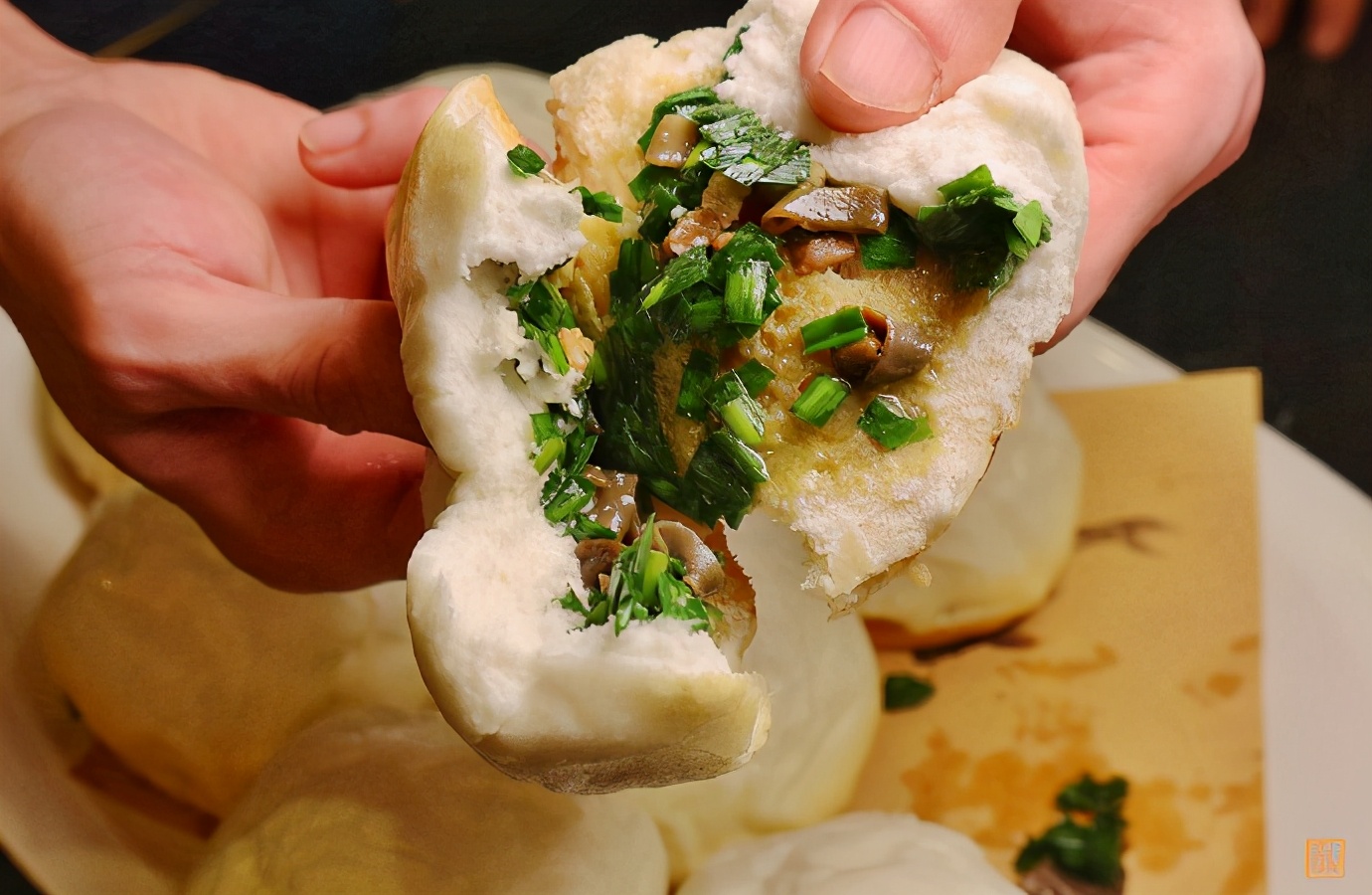 不能飞去巴黎伦敦，不如到大连喂鸽子，赏海景吃海鲜