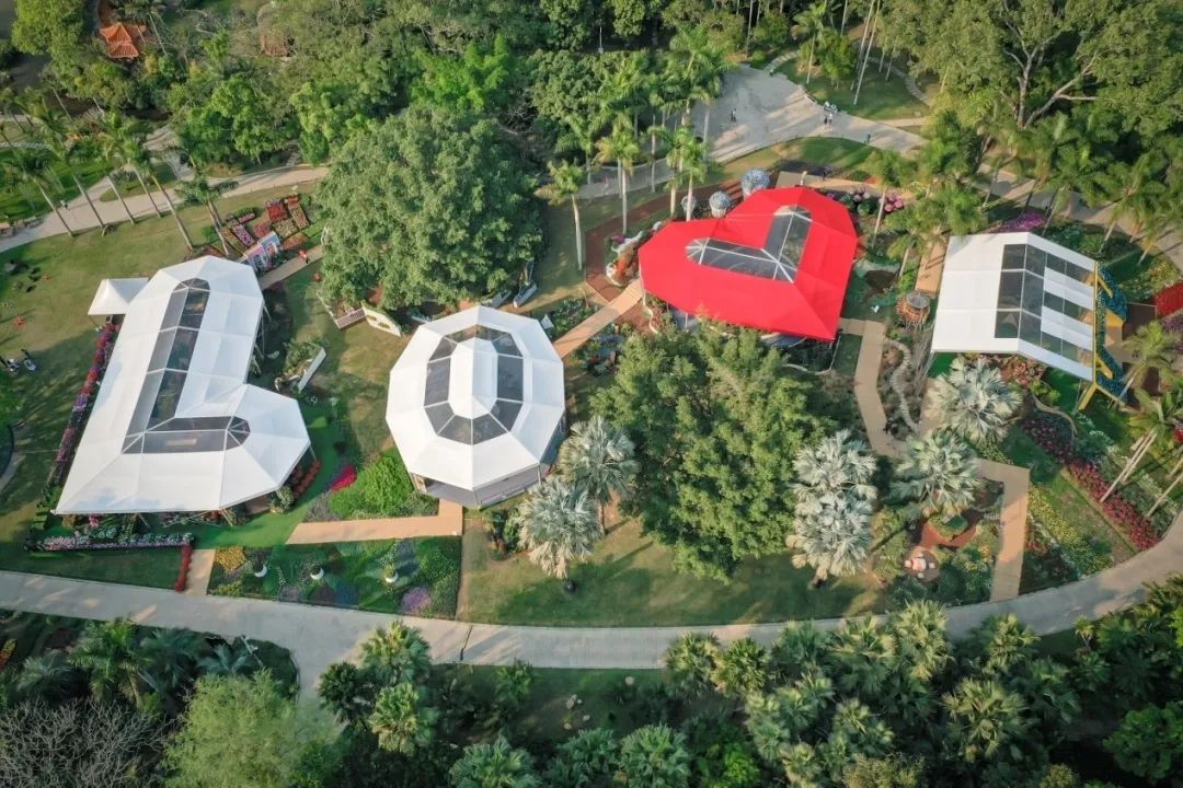 这个花展上的新优品种，为什么这么美？