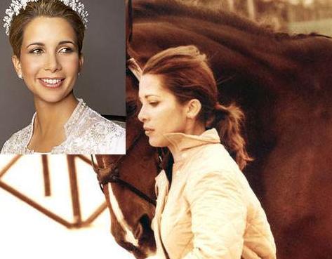 迪拜王妃哈雅事件,迪拜王室哈雅王妃婚姻