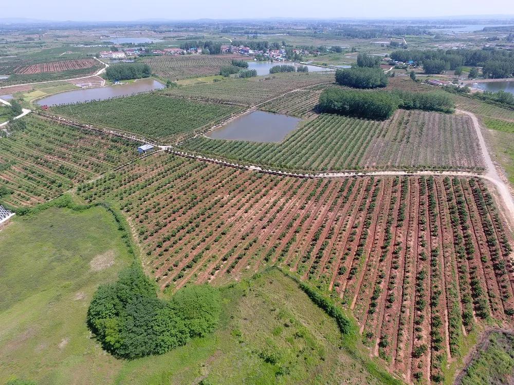 安徽滁州风景美如画,滁州市美景