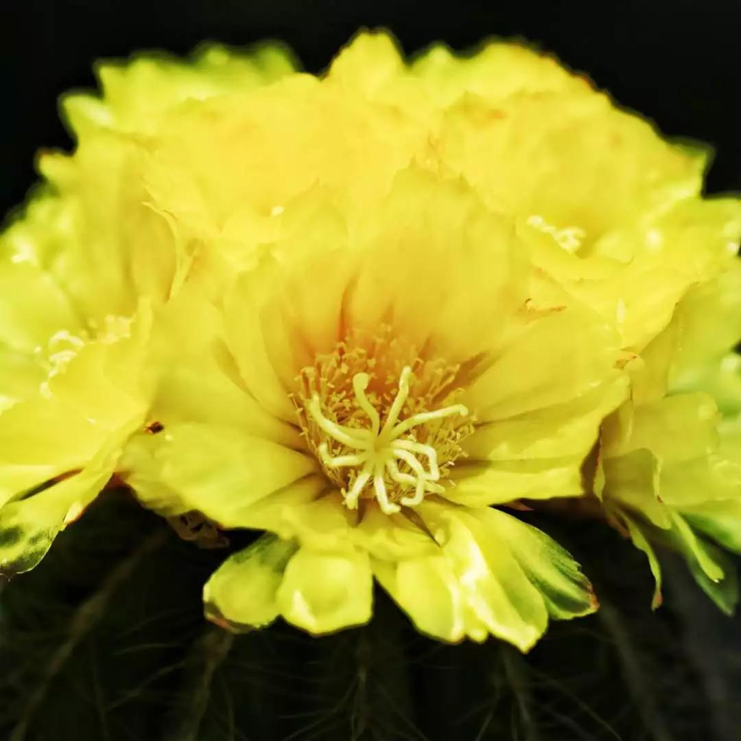 十首绝美唐诗赏析,最美十首唐诗经典加赏析