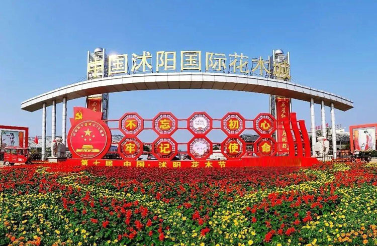 沭阳最有名的特产是什么,沭阳县特产都有哪些