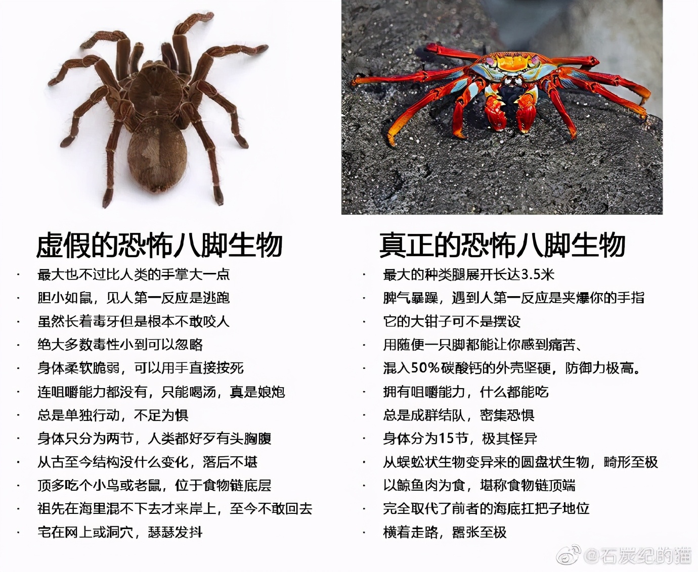 广东朋友发的，心酸中带着一丝好笑|冷段子1823