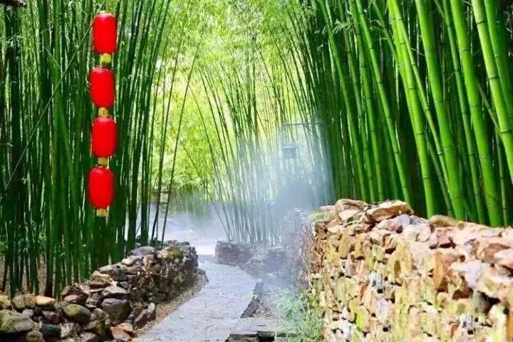 乡村振兴产业发展模式的有效做法,山东乡村振兴三个模式是什么