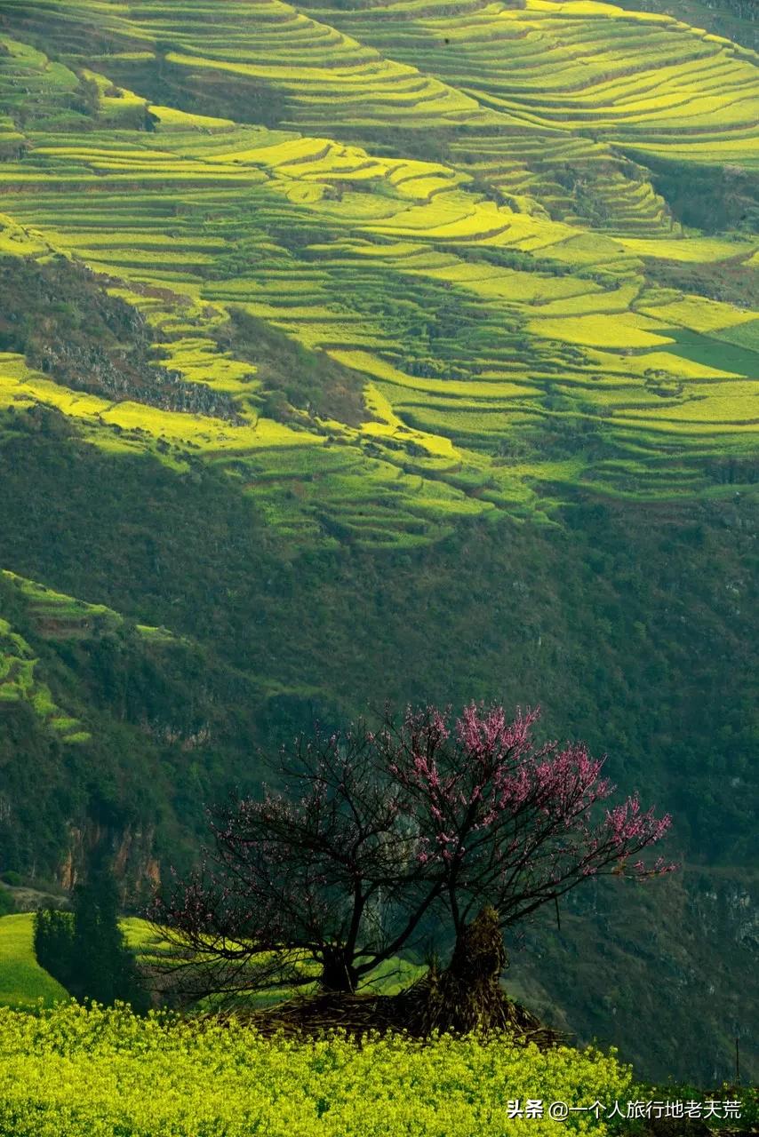 世界上最美的80个地方你去过几个,你知道世界最美的地方在哪里吗