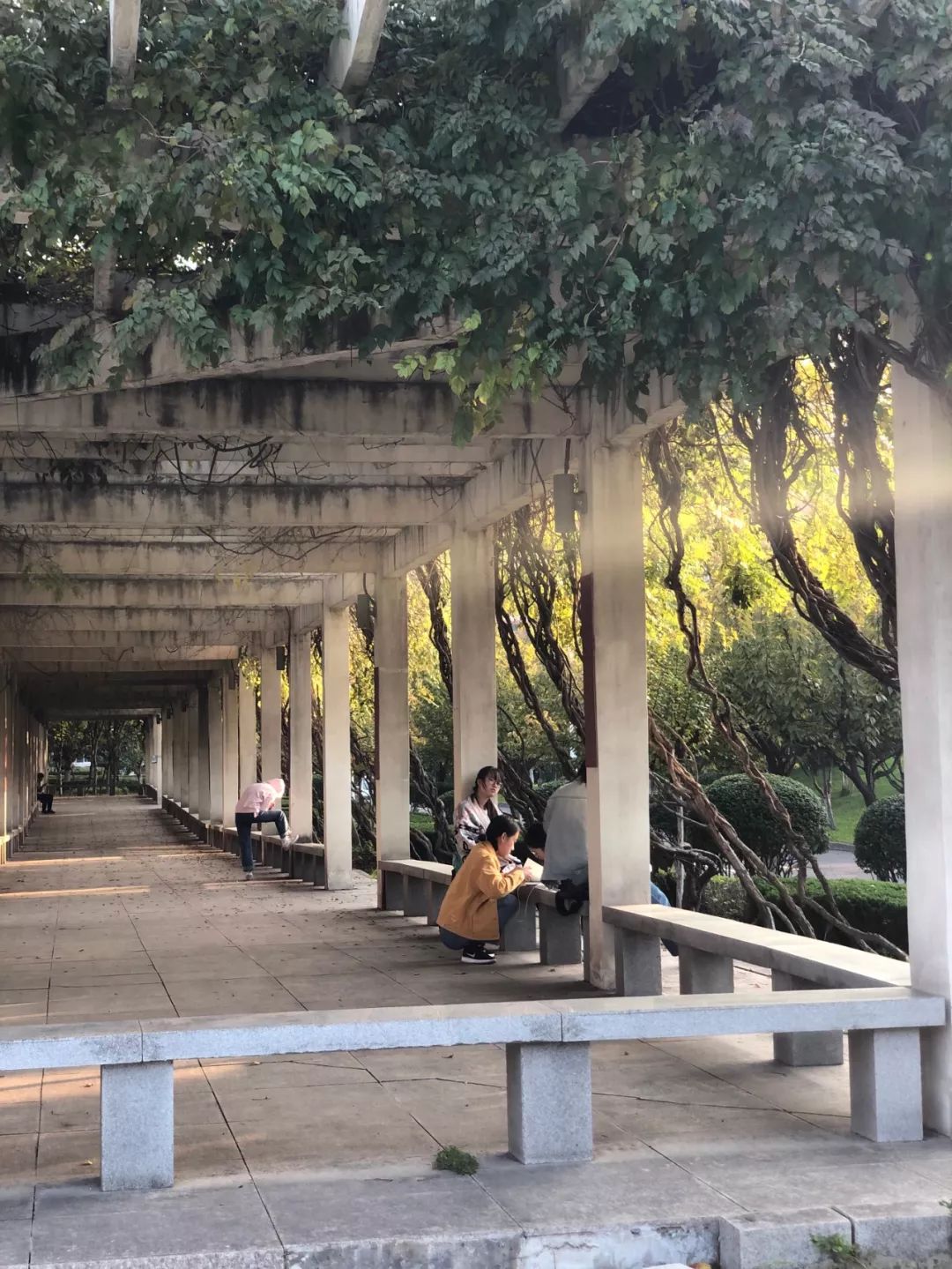 西安四大医学院,西安医学院第三临床医学院