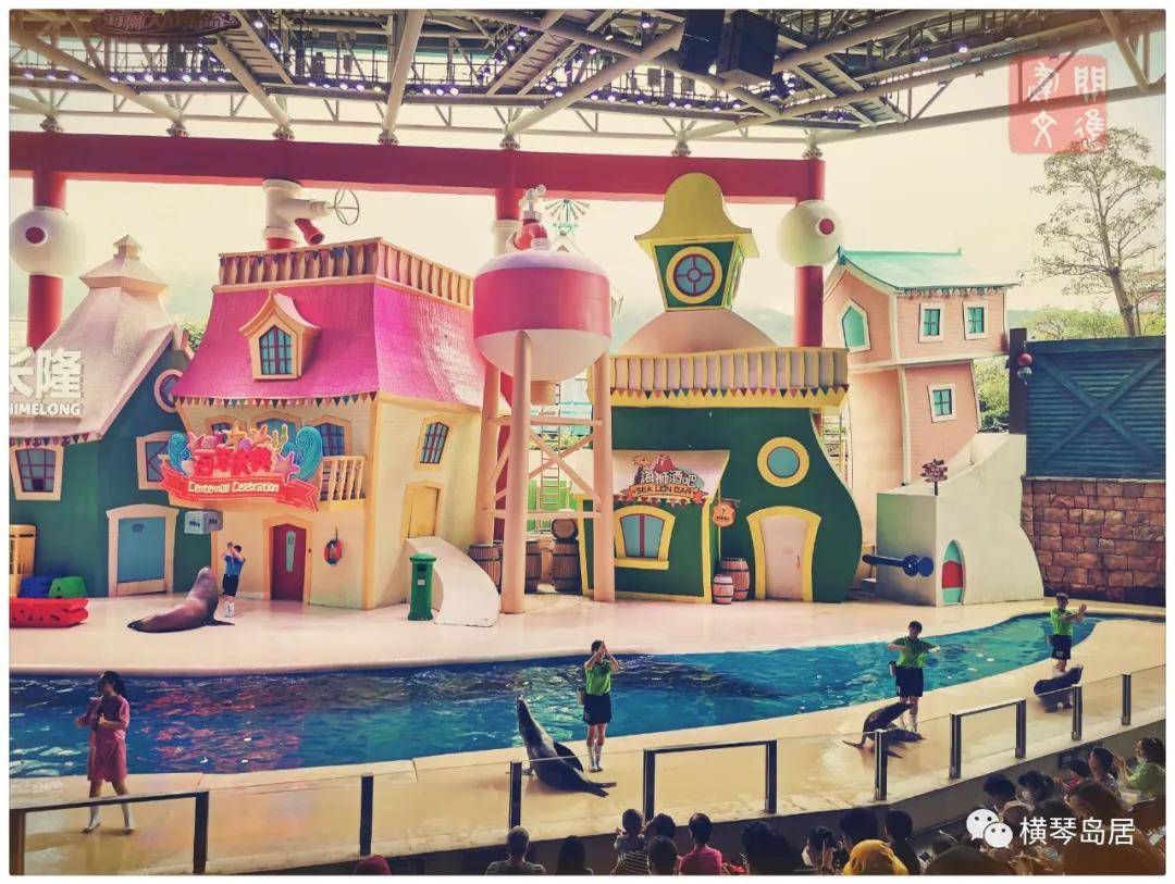 用“年卡”_游_“横琴”