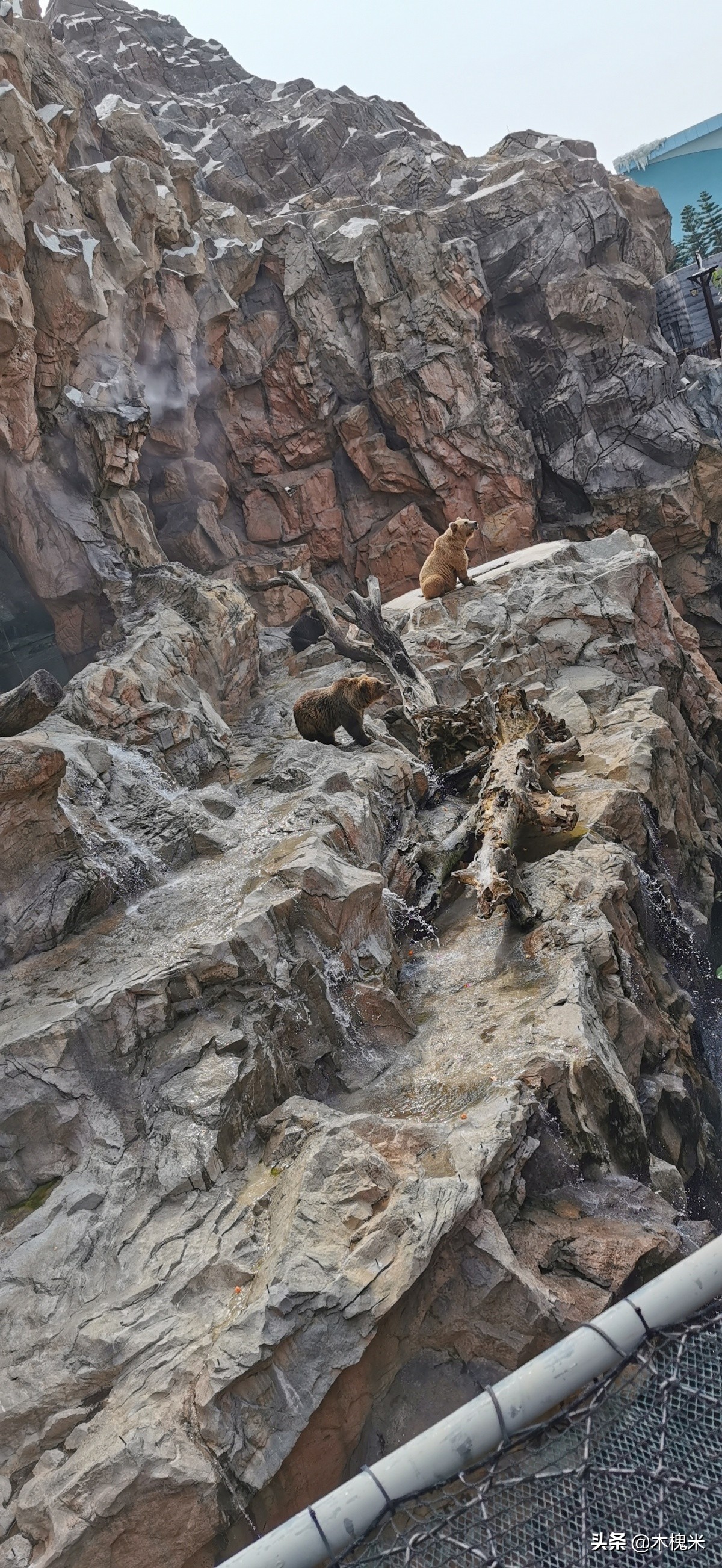 珠海长隆附近美食,珠海长隆海洋王国海底世界