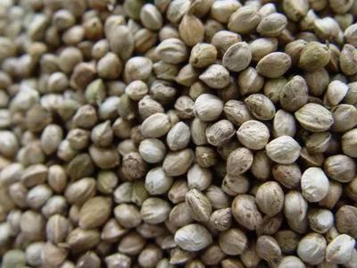 古代粮食文学常识,语文古代常识大全书