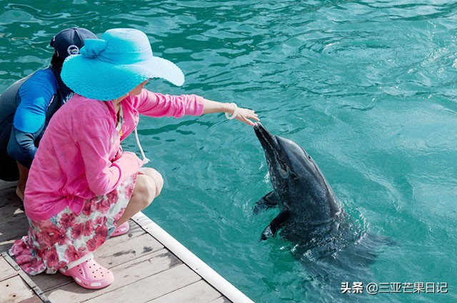 三亚旅游攻略最详细,三亚旅游攻略三亚自由行游记