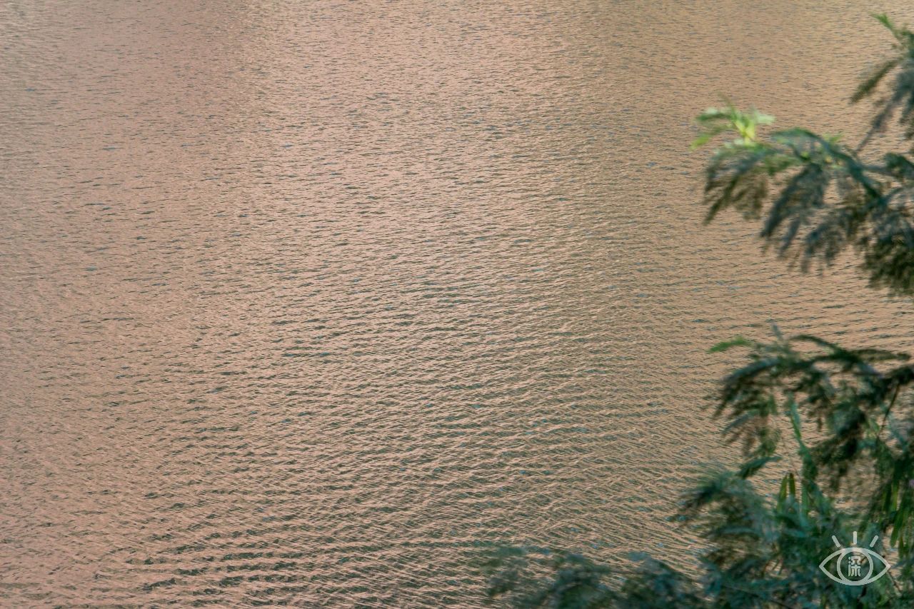 深圳各区最美的地方,深圳6个绝美地方