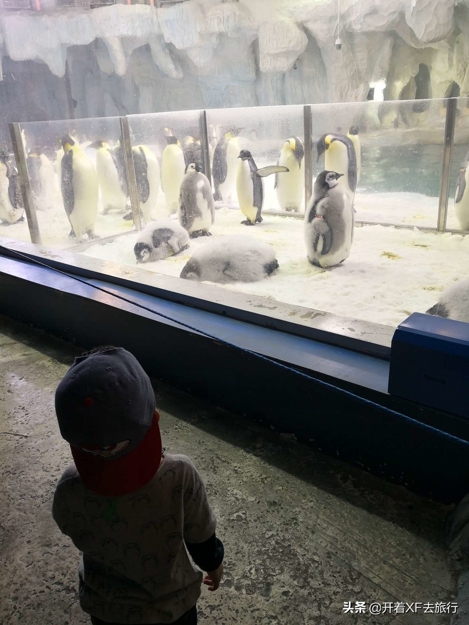 说走就走的旅行攻略省钱一天,说走就走的旅行攻略大全