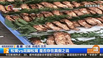 买到假虫草怎么检测,西藏买到假松茸