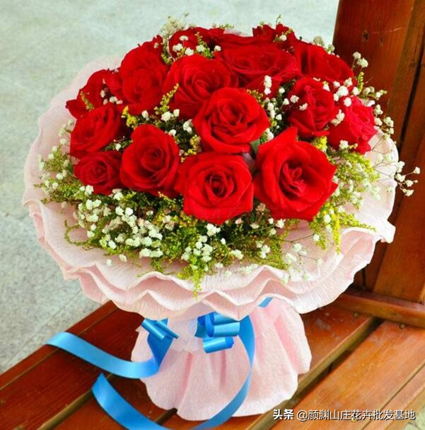 19朵粉玫瑰加满天星的花语,19朵蓝色玫瑰花语象征与寓意