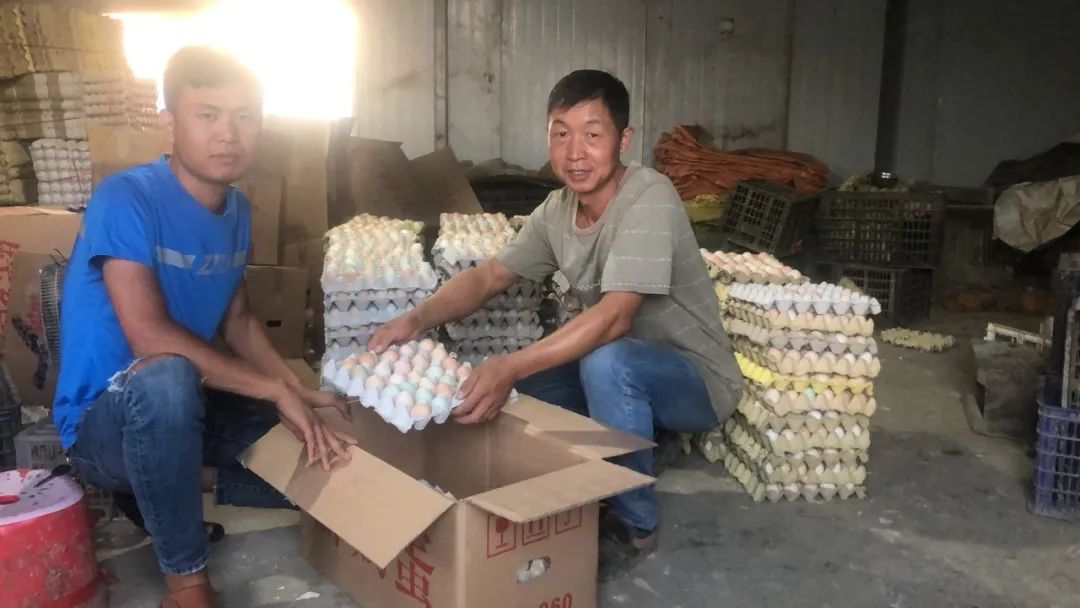 快递小哥建社区微信群，日卖2万枚土鸡蛋