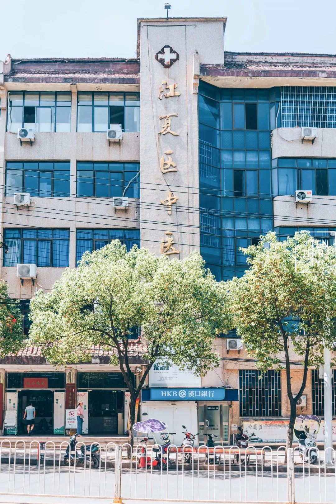 用66张照片回忆2020年,江夏高清图片