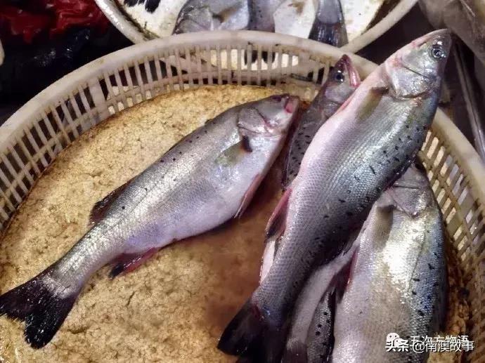 最受欢迎的海洋鱼排名,最受欢迎的十大海鲜