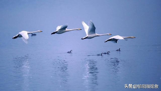 庆余年李云睿的封地信阳,庆余年公主李云睿都和谁有关系