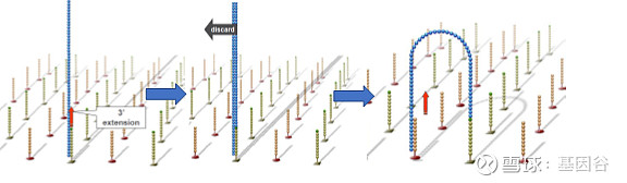 全场硬菜！分子诊断技术全解析