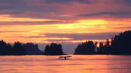 世界上最好的度假村,世界上最偏远的岛屿旅游