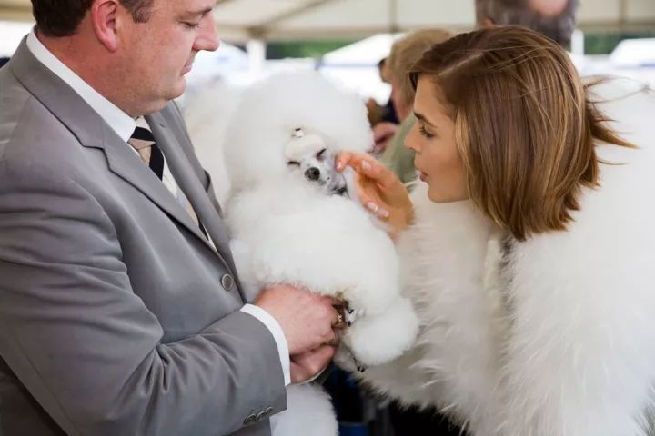 犬的记忆｜世界摄影经典