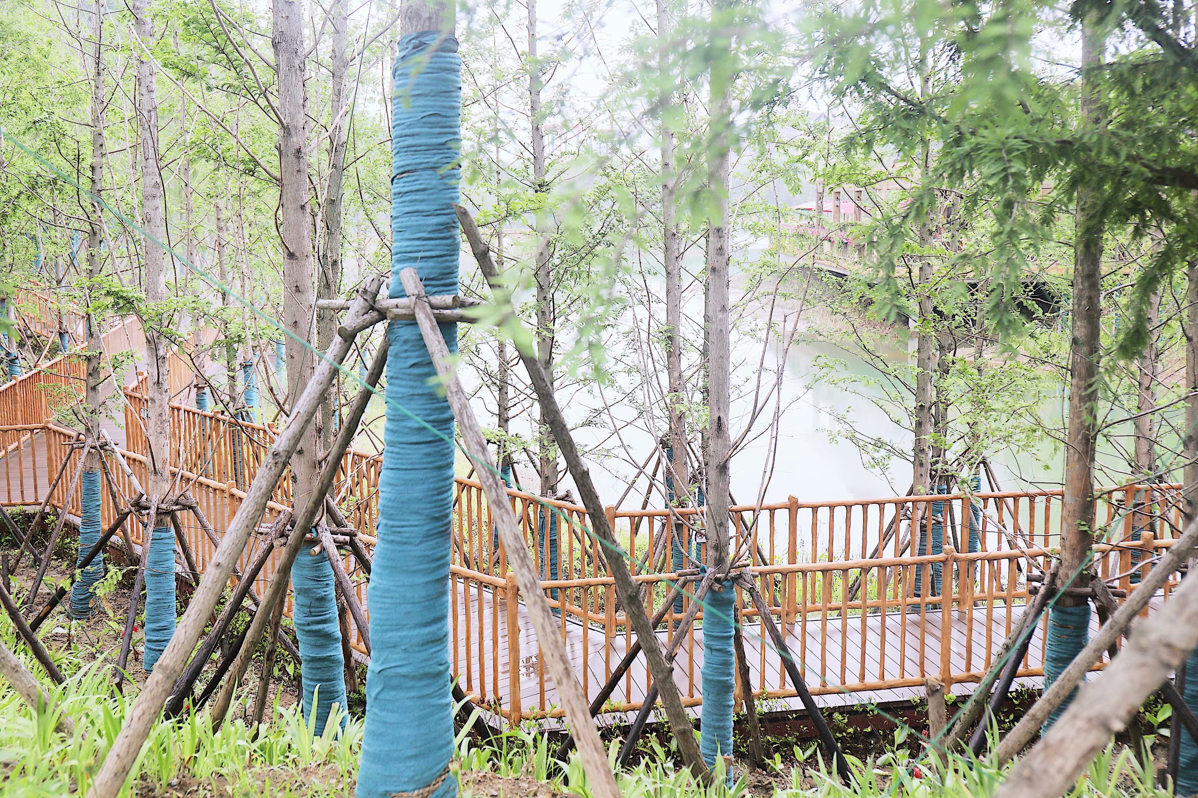 苏州乐园森林水世界几月份开始,乐园森林世界手游攻略