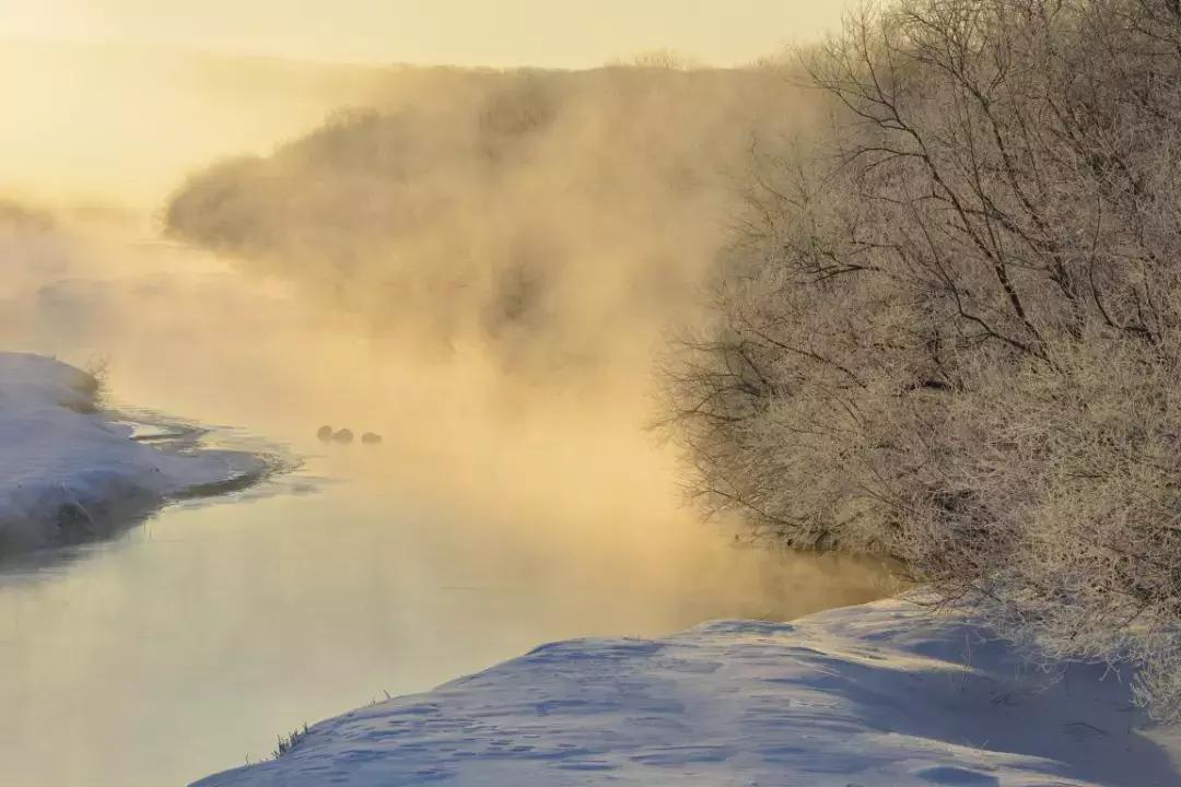 尼康的曝光锁定功能的调整方法,尼康长曝光怎么操作