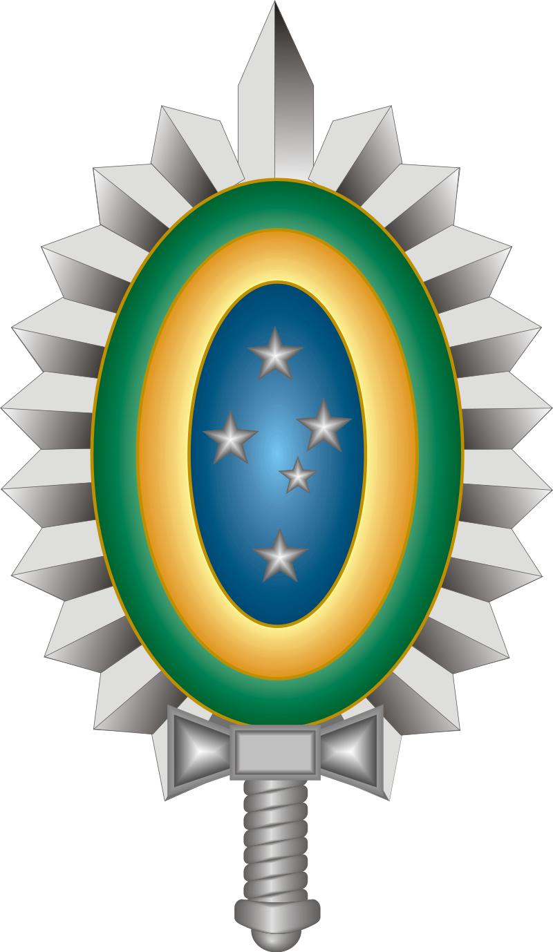 巴西军衔图片,各国军衔标识俄罗斯