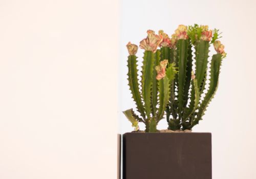 月入2万的10个小生意小城市创业,月入2万的10个小生意新创业门路