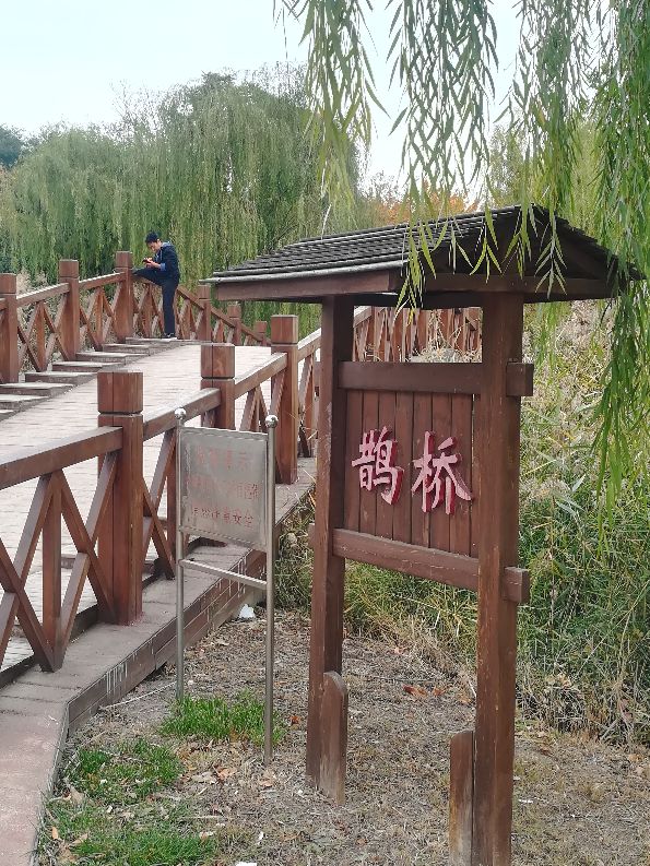 天津马场道玩的地方,天津遛娃好去处