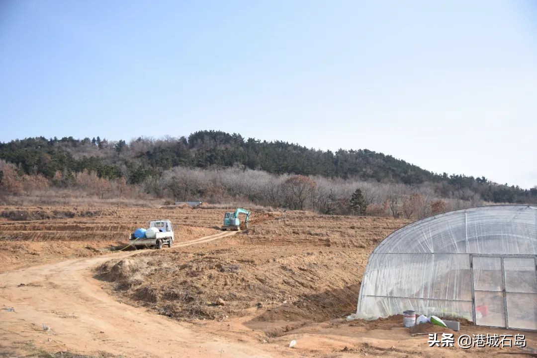 石岛即将开发的项目,石岛的项目