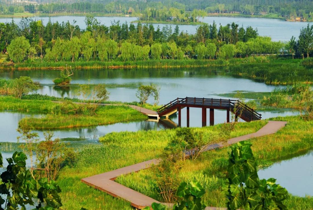 中国的植物多样性保护,全国林草生物多样性保护成就展