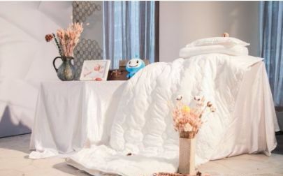 安然纳米安然之家,安然纳米查询