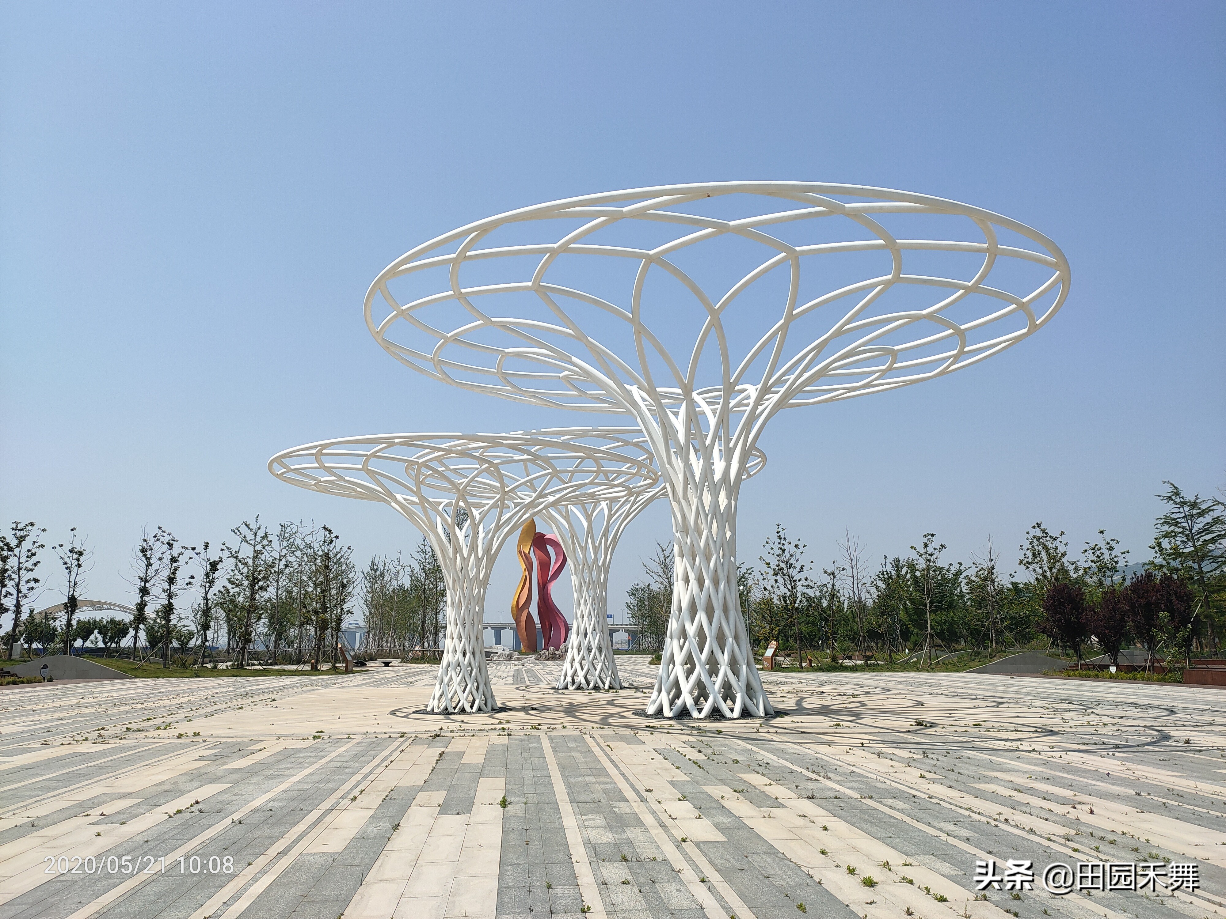 连云港哪里可以看海不用买门票,连云港看海最好的位置在哪里