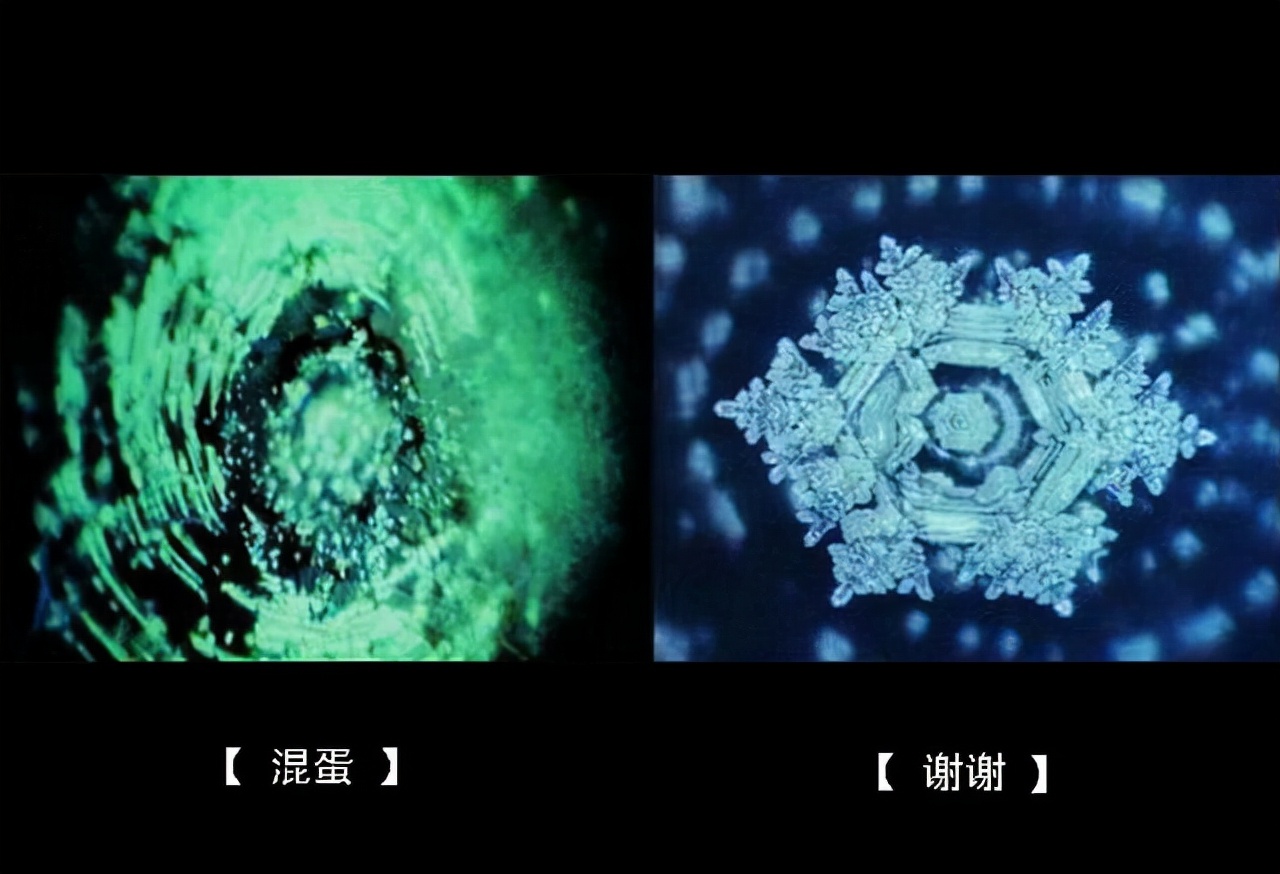 江本胜水知道答案完整版,江本胜水知道答案的实验是真的吗