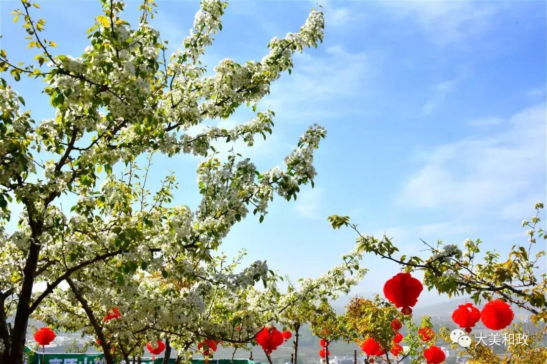 绿色和政春深夏浅风光好山美花浓待君来