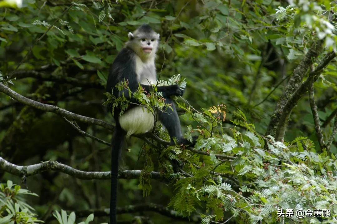 为什么云南女人长相好看,云南真的很漂亮吗