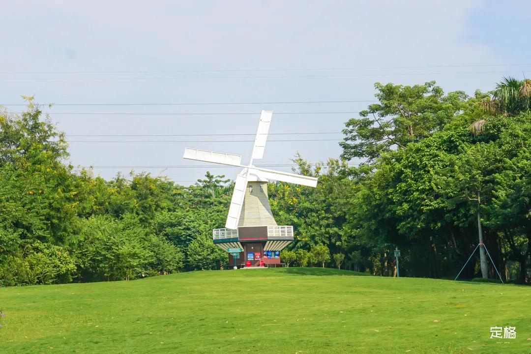 深圳周末打卡地点排行榜,深圳秋季打卡攻略