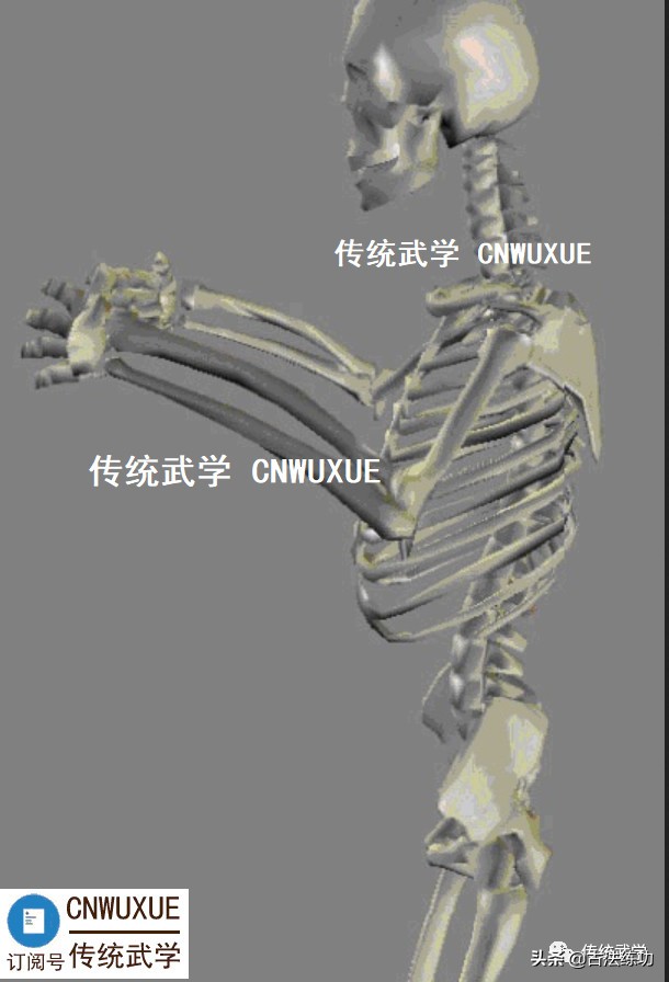 怎样修炼骨响齐鸣的功夫,如何才能练出来筋骨齐鸣