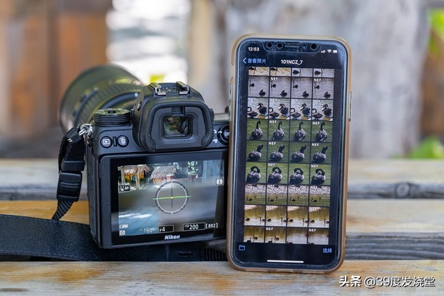 入手尼康z7半年的使用感受怎么样,尼康z7ii专业摄影师实际使用感受